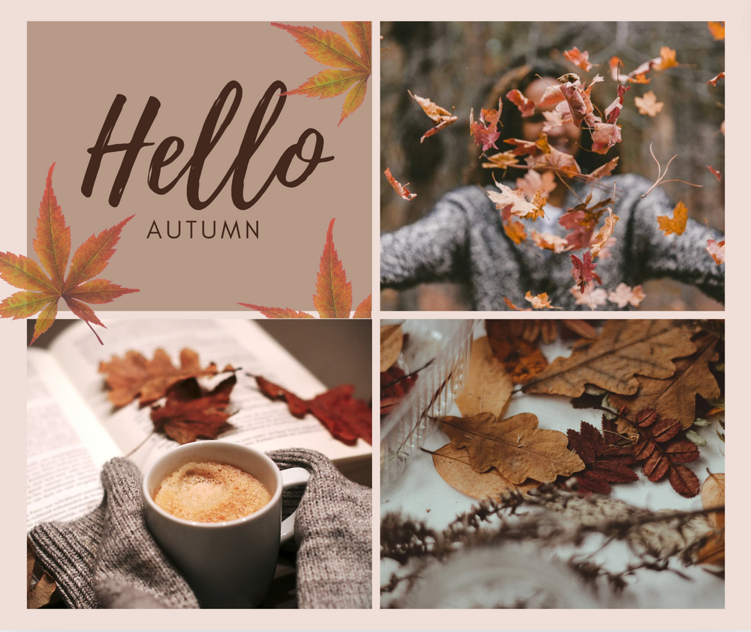 Terra Cotta's Autumn Favorites