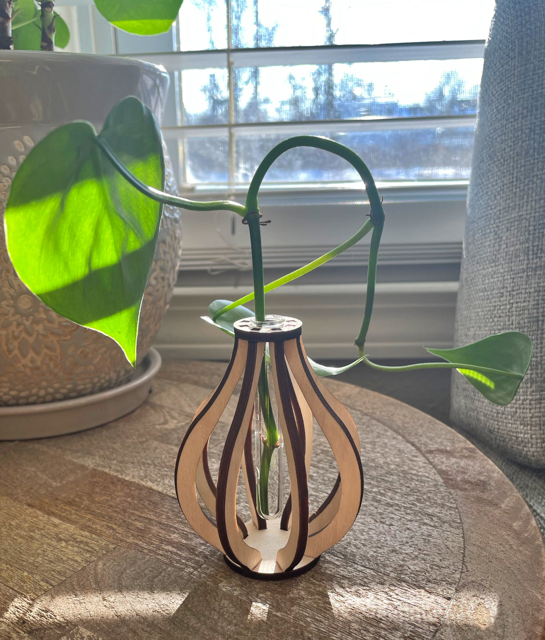 This small wooden bud vase is made from ten pieces of precision cut Baltic birch. At its center is a glass test tube to hold a fresh flower stem, cutting for propagation, or a dried floral bud.  SIZE: 3.5" tall 2.75" wide Mini test tube: 0.4" diameter   *DOES NOT INCLUDE PLANT Explore the best and coolest gift ideas for plant enthusiasts! Terra Cotta Plant Boutique serves the Toledo, Ohio area. Our online retail store ships nationally!