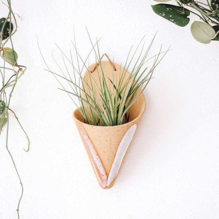 The Carter & Rose large ceramic wall cone is a unique way to bring plant life to your walls, from air plants, dried flower arrangements, or artificial plants. Try it with our Tillandsia Ionantha Maxima-Large!  Each ceramic cone is handmade and will differ slightly from the photo. Large cone dimensions: (LxWxH) 7.5x4.5x3 inches.  *AIR PLANT NOT INCLUDED