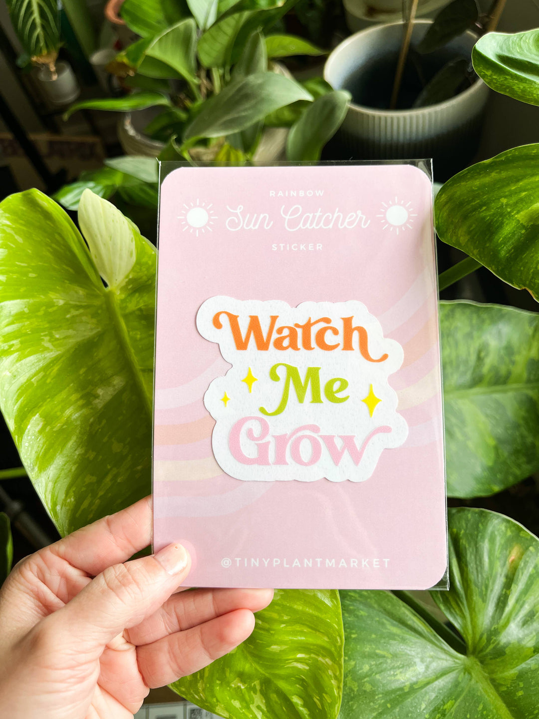 Watch Me Grow Sun Catcher Sticker