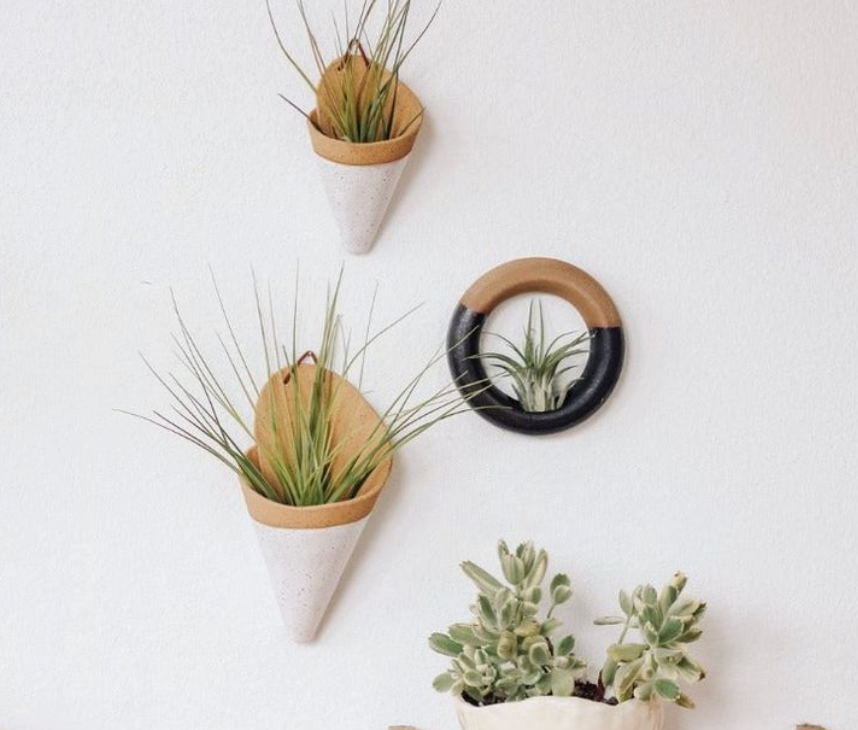 The Carter & Rose large ceramic wall cone is a unique way to bring plant life to your walls, from air plants, dried flower arrangements, or artificial plants. Try it with our Tillandsia Ionantha Maxima-Large!  Each ceramic cone is handmade and will differ slightly from the photo. Large cone dimensions: (LxWxH) 7.5x4.5x3 inches.  *AIR PLANT NOT INCLUDED Explore the best and coolest gift ideas for plant enthusiasts!