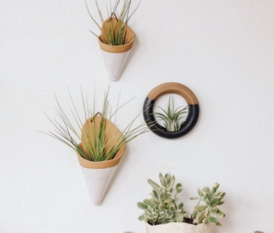 The Carter & Rose large ceramic wall cone is a unique way to bring plant life to your walls, from air plants, dried flower arrangements, or artificial plants. Try it with our Tillandsia Ionantha Maxima-Large!  Each ceramic cone is handmade and will differ slightly from the photo. Large cone dimensions: (LxWxH) 7.5x4.5x3 inches.  *AIR PLANT NOT INCLUDED